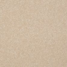 Shaw Floors Shaw Floor Studio Porto Veneri I 12′ Ecru 00103_52U54