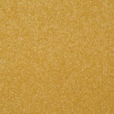 Shaw Floors Shaw Floor Studio Porto Veneri I 12′ Daffodil 00205_52U54
