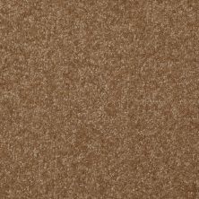 Shaw Floors Shaw Floor Studio Porto Veneri I 12′ Belt Buckle 00702_52U54