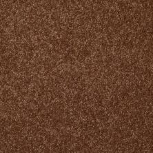 Shaw Floors Shaw Floor Studio Porto Veneri I 12′ Toasty 00710_52U54
