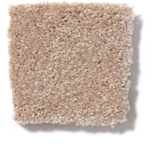 Shaw Floors Town Creek I 15′ Muffin 52V12_00106