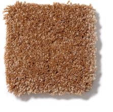 Shaw Floors Town Creek I 15′ Pecan Shell 52V12_00203