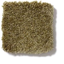 Shaw Floors Town Creek I 15′ Green Apple 52V12_00303