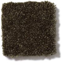 Shaw Floors Town Creek I 15′ Pine 52V12_00304