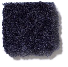Shaw Floors Town Creek I 15′ Uniform 52V12_00404