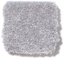 Shaw Floors Town Creek I 15′ Sterling 52V12_00500