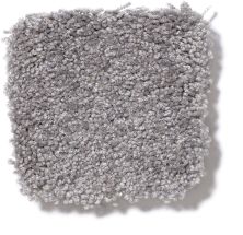 Shaw Floors Town Creek I 15′ Pewter 52V12_00501