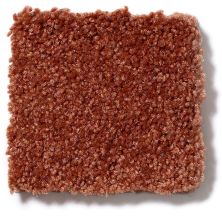 Shaw Floors Town Creek I 15′ Maple Leaf 52V12_00601