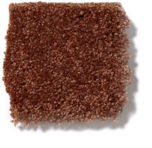 Shaw Floors Town Creek I 15′ Gingerbread 52V12_00602