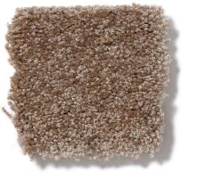 Shaw Floors Town Creek I 15′ Jute 52V12_00703