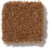 Shaw Floors Town Creek I 15′ Brass Button 52V12_00704