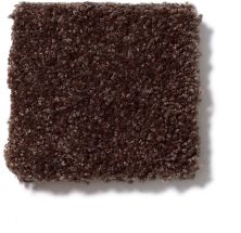 Shaw Floors Town Creek I 15′ Walnut 52V12_00706