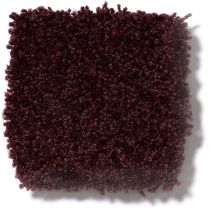 Shaw Floors Town Creek I 15′ Concord 52V12_00901