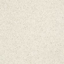 Shaw Floors Northern Parkway White Linen 00110_52V34