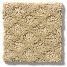 Shaw Floors Padova Field Stone 52V37_00105