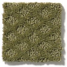 Shaw Floors Padova Organic Leaf 52V37_00300