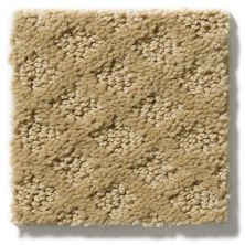 Shaw Floors Padova Natural Wood 52V37_00701