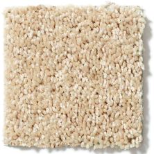 Shaw Floors Full Court 12′ Crumpet 52Y46_00203