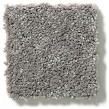 Shaw Floors Full Court 12′ Ink Spot 52Y46_00501