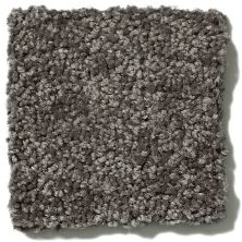 Shaw Floors Full Court 12′ Barn Beam 52Y46_00740