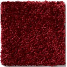 Shaw Floors Full Court 12′ Red Wine 52Y46_00801
