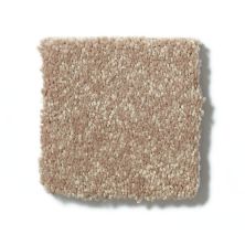 Shaw Floors Full Court 15′ Tassel 52Y82_00107
