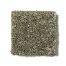 Shaw Floors Full Court 15′ Aloe 52Y82_00300