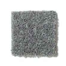 Shaw Floors Full Court 15′ Ink Spot 52Y82_00501