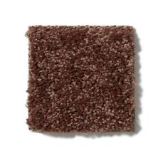 Shaw Floors Full Court 15′ Flower Pot 52Y82_00610