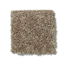 Shaw Floors Full Court 15′ Hearth Stone 52Y82_00700