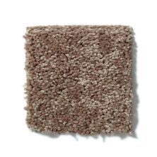 Shaw Floors Full Court 15′ Granola 52Y82_00701