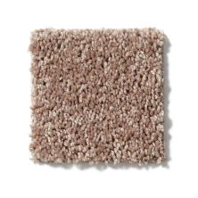 Shaw Floors Full Court 15′ Taffy 52Y82_00704