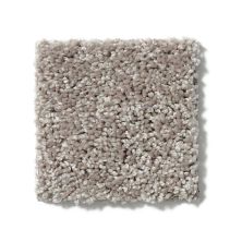 Shaw Floors Full Court 15′ River Slate 52Y82_00720