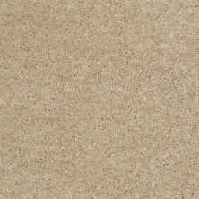 Shaw Floors Fielder’s Choice 15′ Adobe 00103_52Y92