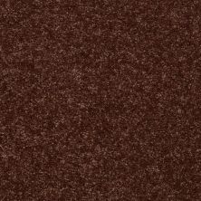 Shaw Floors Fielder’s Choice 15′ Flower Pot 00610_52Y92