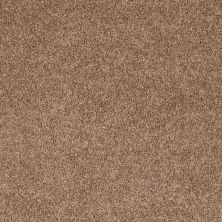 Shaw Floors Shaw Flooring Gallery Ellendale 15′ Eagles Nest 00704_5301G
