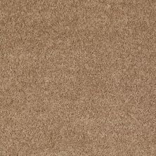 Shaw Floors Shaw Flooring Gallery Union City I 12′ Golden Echoes 00202_5305G