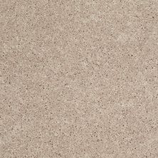 Shaw Floors Shaw Flooring Gallery Union City III 12′ Flax Seed 00103_5307G
