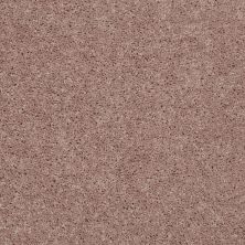Shaw Floors Shaw Flooring Gallery Union City III 12′ Tassel 00107_5307G