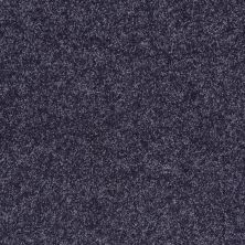 Shaw Floors Shaw Flooring Gallery Union City III 12′ Denim 00410_5307G