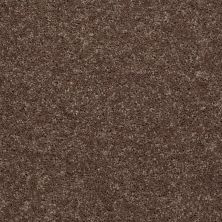 Shaw Floors Shaw Flooring Gallery Union City III 15′ Cattail 00702_5308G