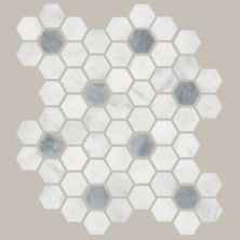 Shaw Floors Ceramic Solutions Noble Pursuit 1.4 Hex Crystal Grey 00150_530TS