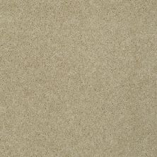 Shaw Floors Shaw Flooring Gallery Grand Image III Beach Walk 00126_5351G