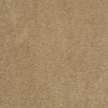 Shaw Floors Shaw Flooring Gallery Grand Image III Cologne Mist 00128_5351G