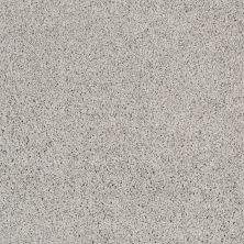 Shaw Floors Shaw Flooring Gallery Grand Image III Sheer Silver 00500_5351G