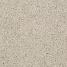 Shaw Floors Dyersburg II 15′ Marble 55150_53856