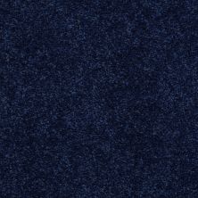 Shaw Floors Dyersburg II 15′ Darkest Denim 55402_53856