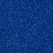 Shaw Floors Dyersburg II 15′ Cobalt 55453_53856