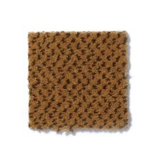 Philadelphia Commercial Next Generation Caramel 54097_97250