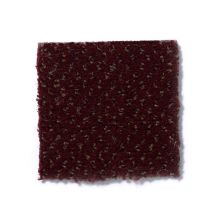 Philadelphia Commercial Next Generation Radicchio 54097_97800